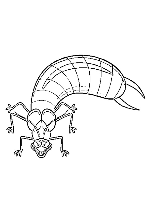 Earwig coloring page