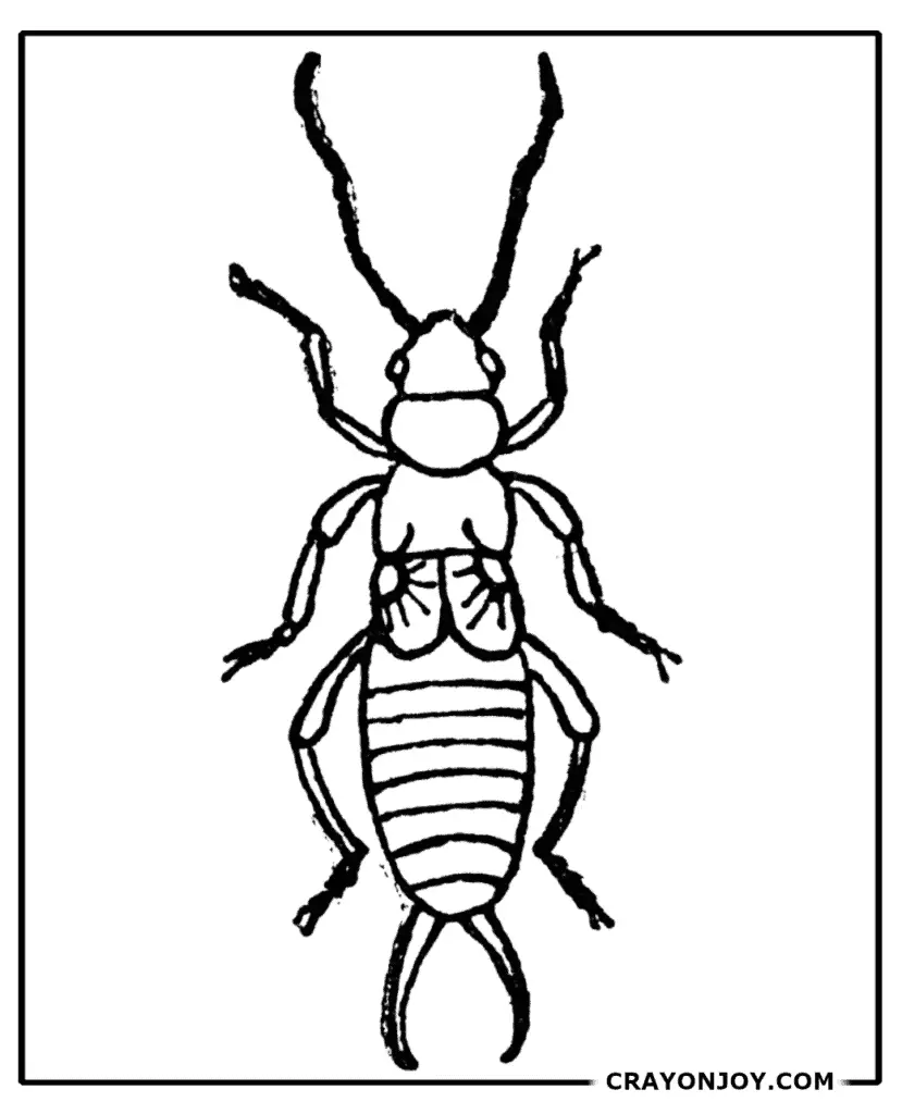 Free printable earwig coloring pages for kids adults