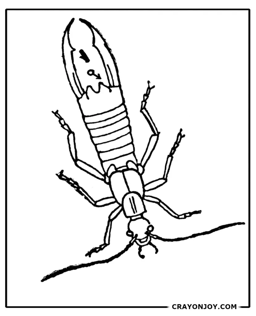 Free printable earwig coloring pages for kids adults