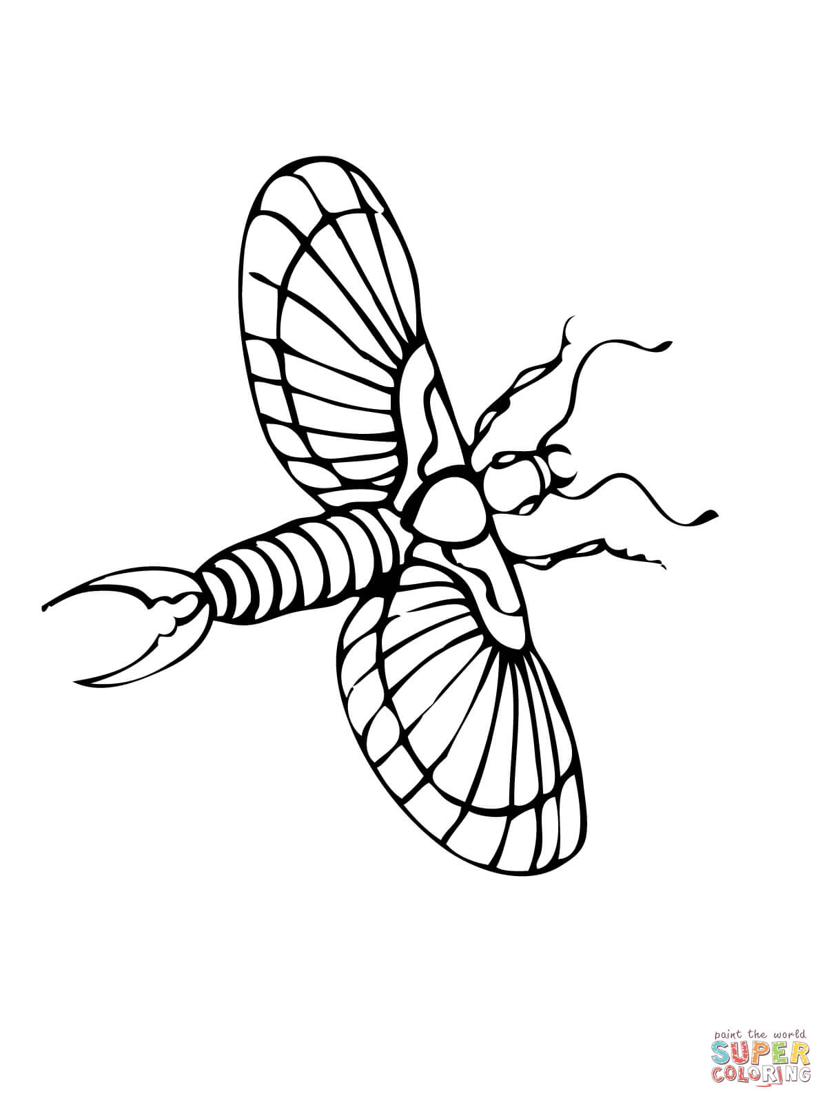 Flying earwig coloring page free printable coloring pages