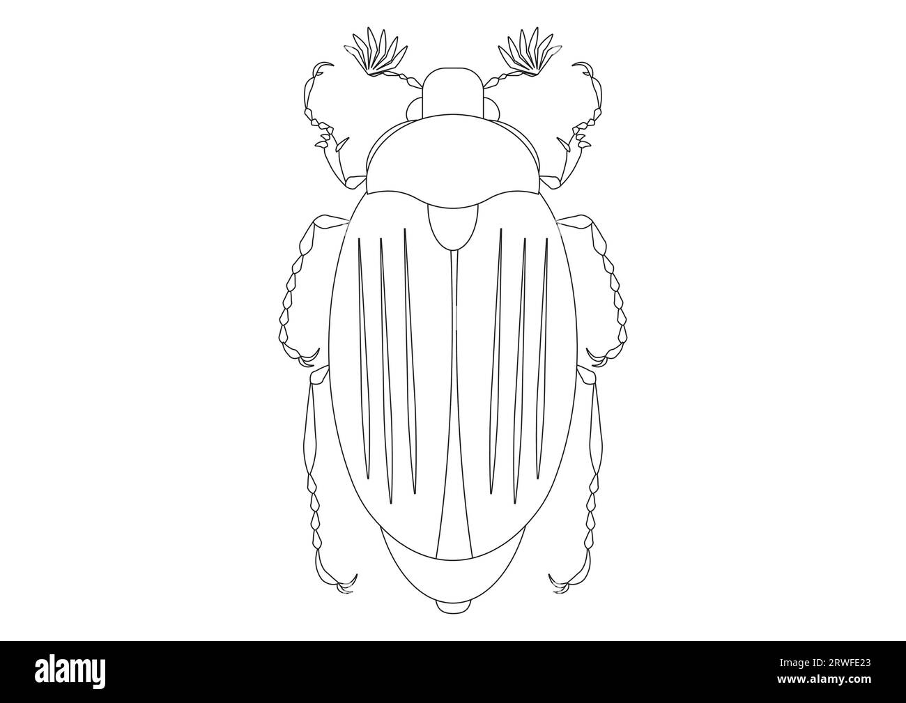 Coloring beetle cut out stock images pictures