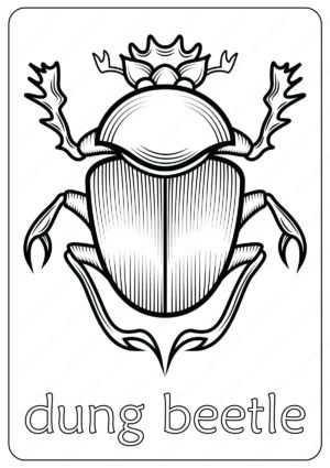 Animals dung beetle coloring pages book bee coloring pages bug coloring pages coloring pages