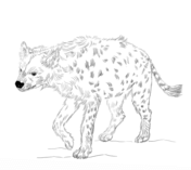 Hyenas coloring pages free coloring pages