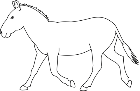 Zebra without stripes coloring page free printable coloring pages