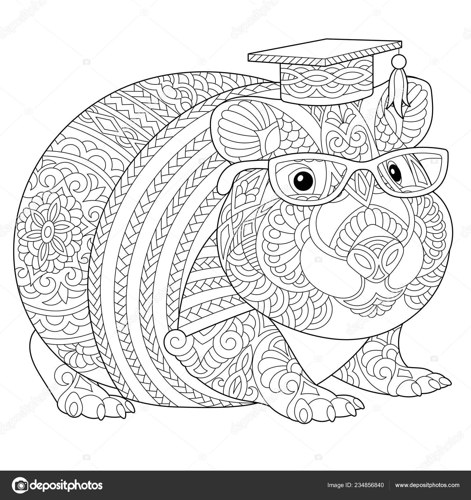 Coloring page stress colouring picture hamster guinea pig freehand sketch stock vector by sybirko