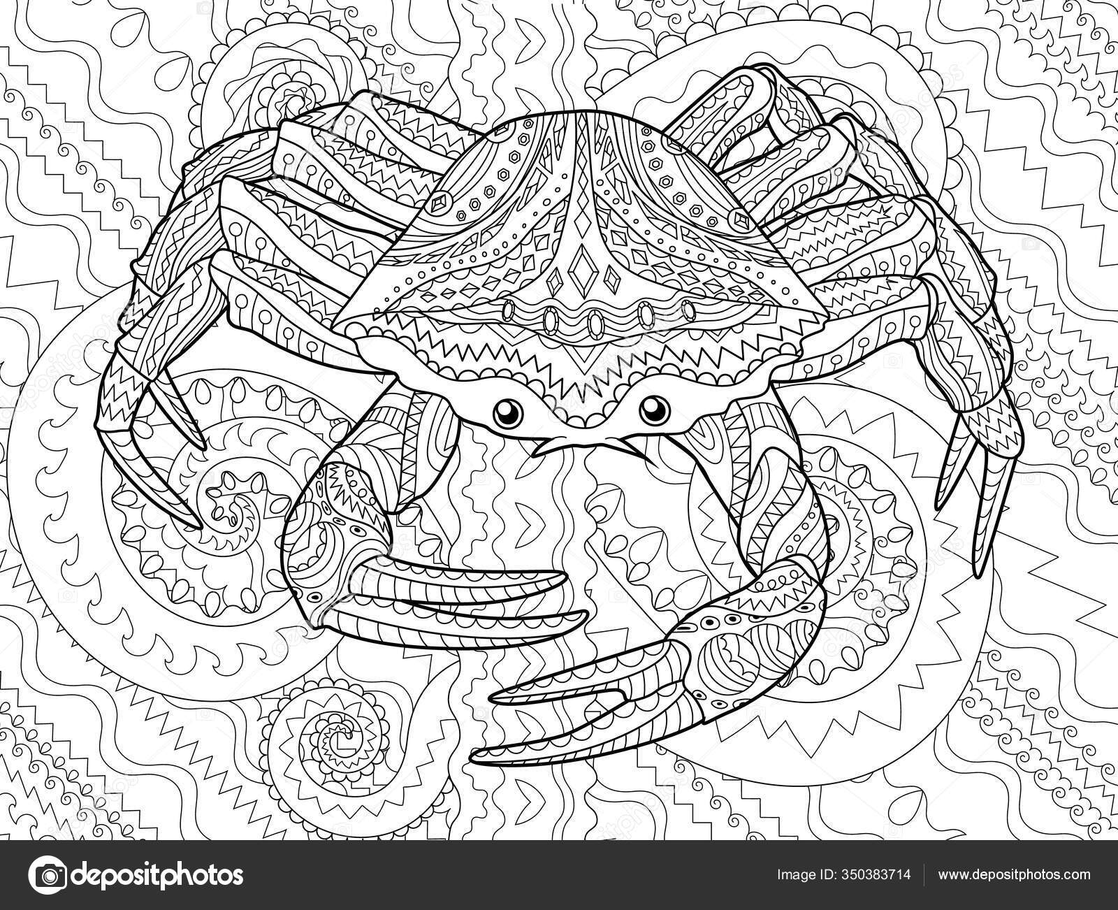 Antistress coloring page for adults with sea crab stock vector by lezhepyoka