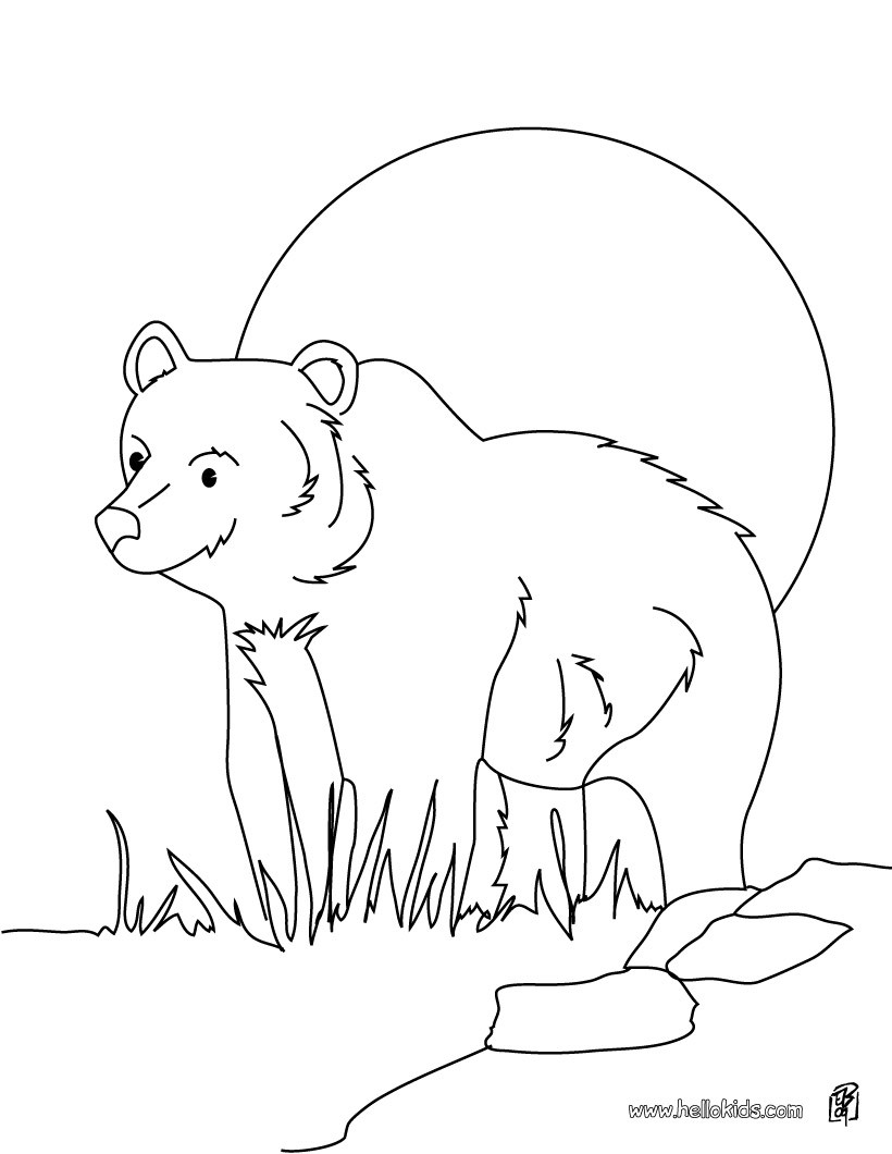 Grizzly bear coloring pages