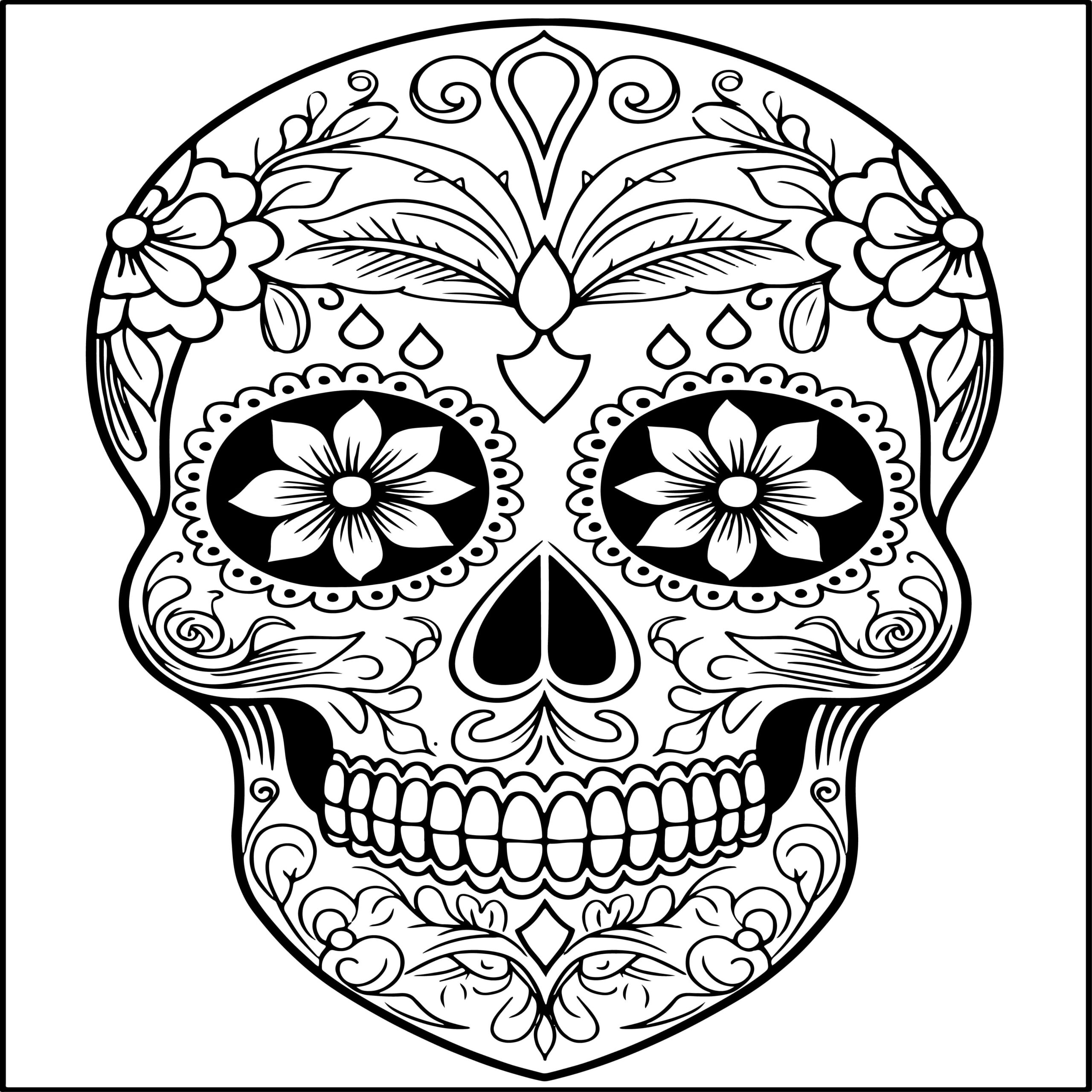 Sugar skulls coloring book with beautiful sugar skull illustrations designs made by teachers