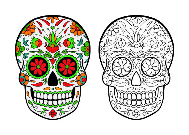 Sugar skull coloring page stock illustration