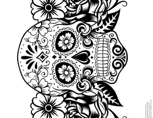 Free printable halloween coloring pages for adults teens kids
