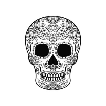 Sugar skull drawing images â browse photos vectors and video