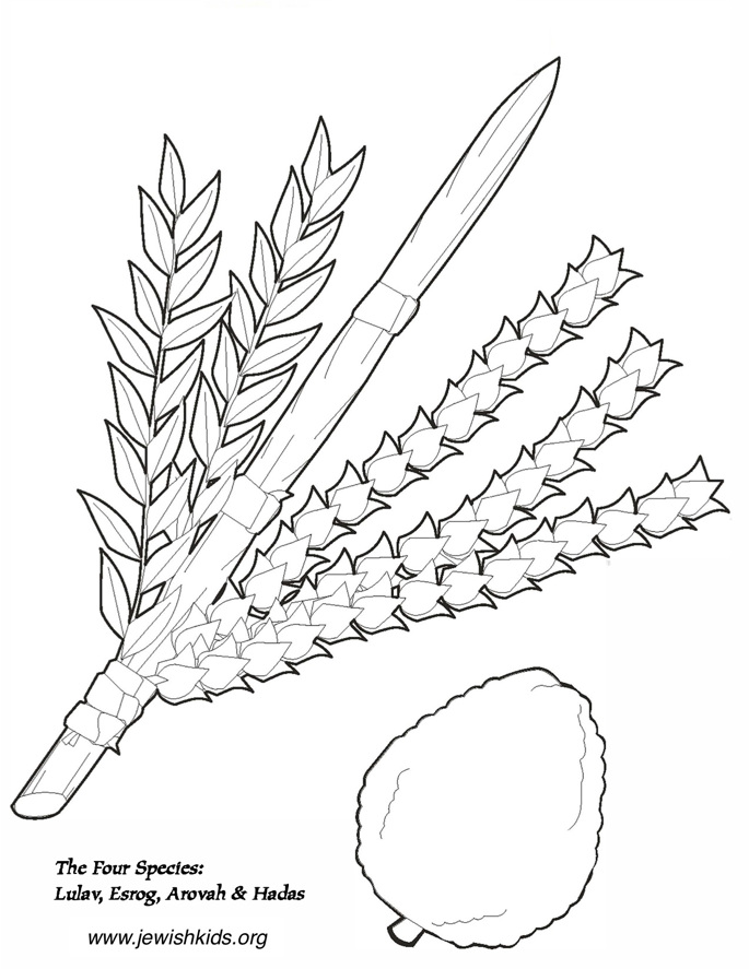 Sukkot coloring pages