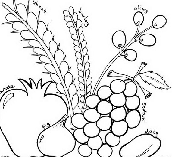 Sukkot coloring pages for kids