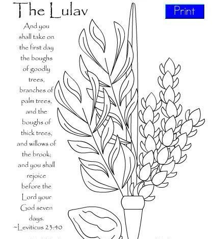 Hebrew roots coloring page printable