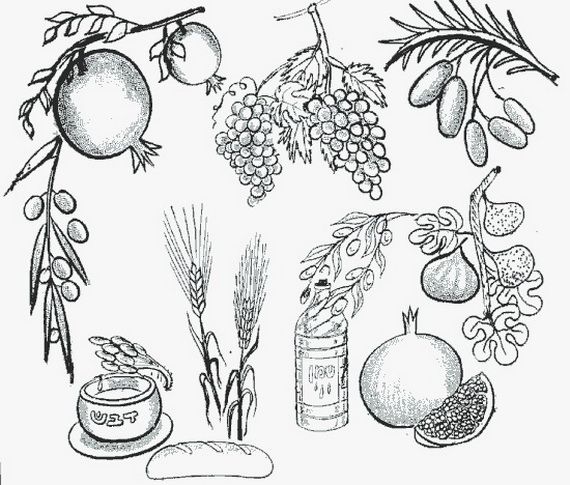 Sukkot free jewish coloring pages for kids sukkot coloring pages for kids coloring pages