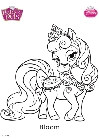 Palace pets bloom coloring page free printable coloring pages