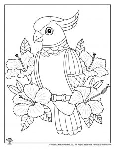 Summer adult coloring pages woo jr kids activities childrens publishing