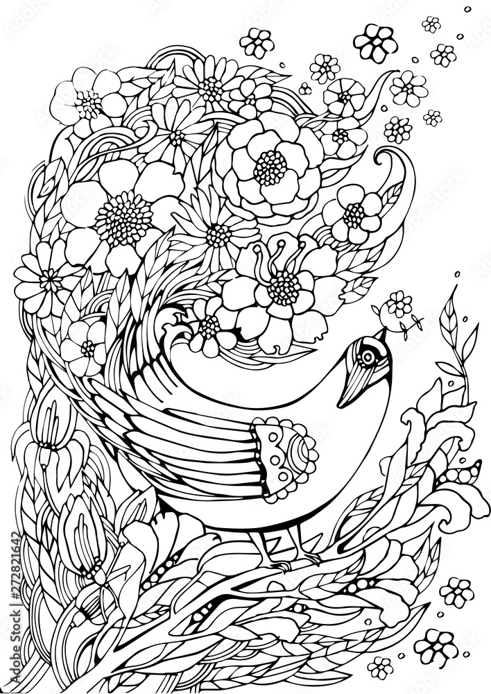 Coloring pages with bird in colors illustrations for kids and adults coloring book or tattoos with high detail isolated on white background summer cute monochrome illustration vector