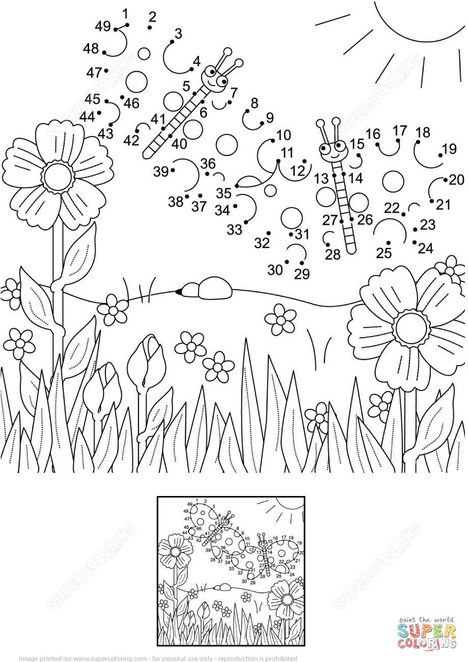 Summer scene dot to dot free printable coloring pages