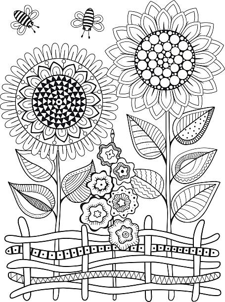 Vector doodle sunflowers coloring book for adult summer flowers flowerbed stock illustration