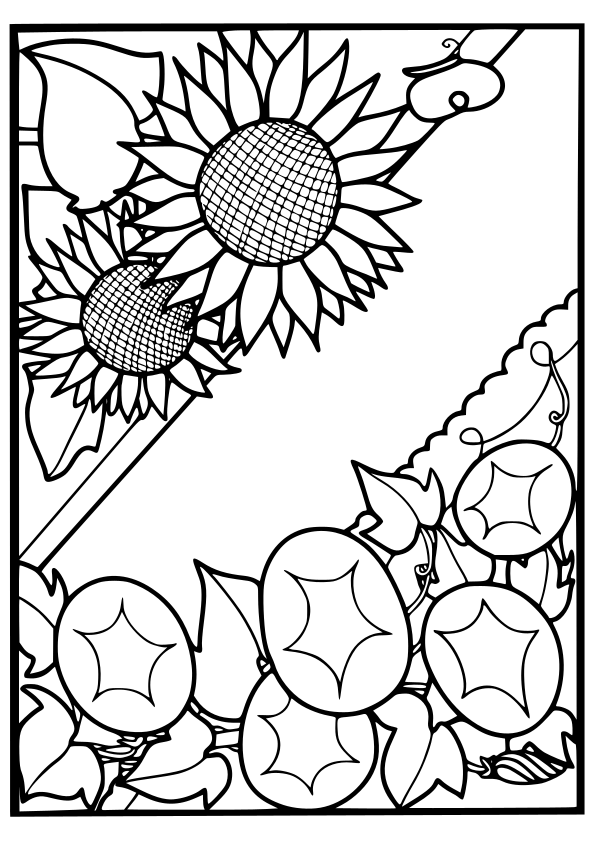 Summer flowers drawing for coloring page free printable nurieworld