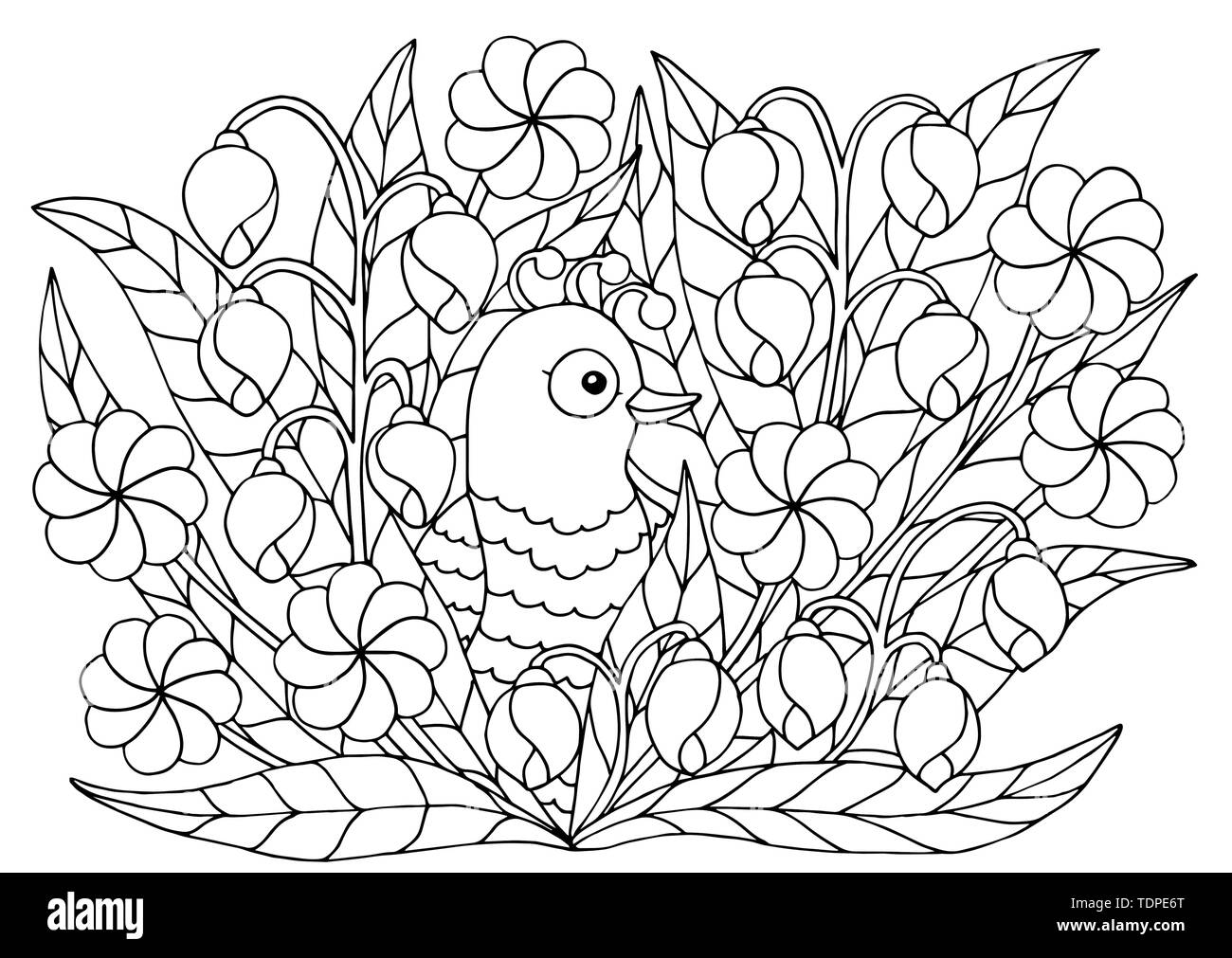Cute abstract coloring page with summer flowers and bird for kids and adults stock vector image art