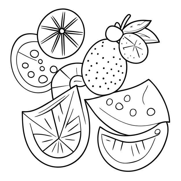 Premium vector various fruits collection for summer and coloring book page for kdp