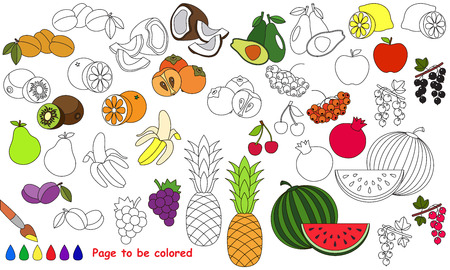 Big summer fruit set to be colored coloring book for children visual educational game easy kid gaming simple level of difficulty page for coloring ù ùùø øªøµù ùù ù