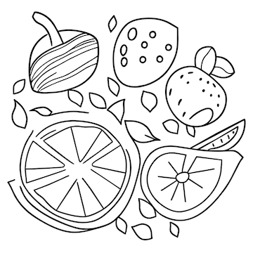 Premium vector various fruits collection for summer and coloring book page for kdp