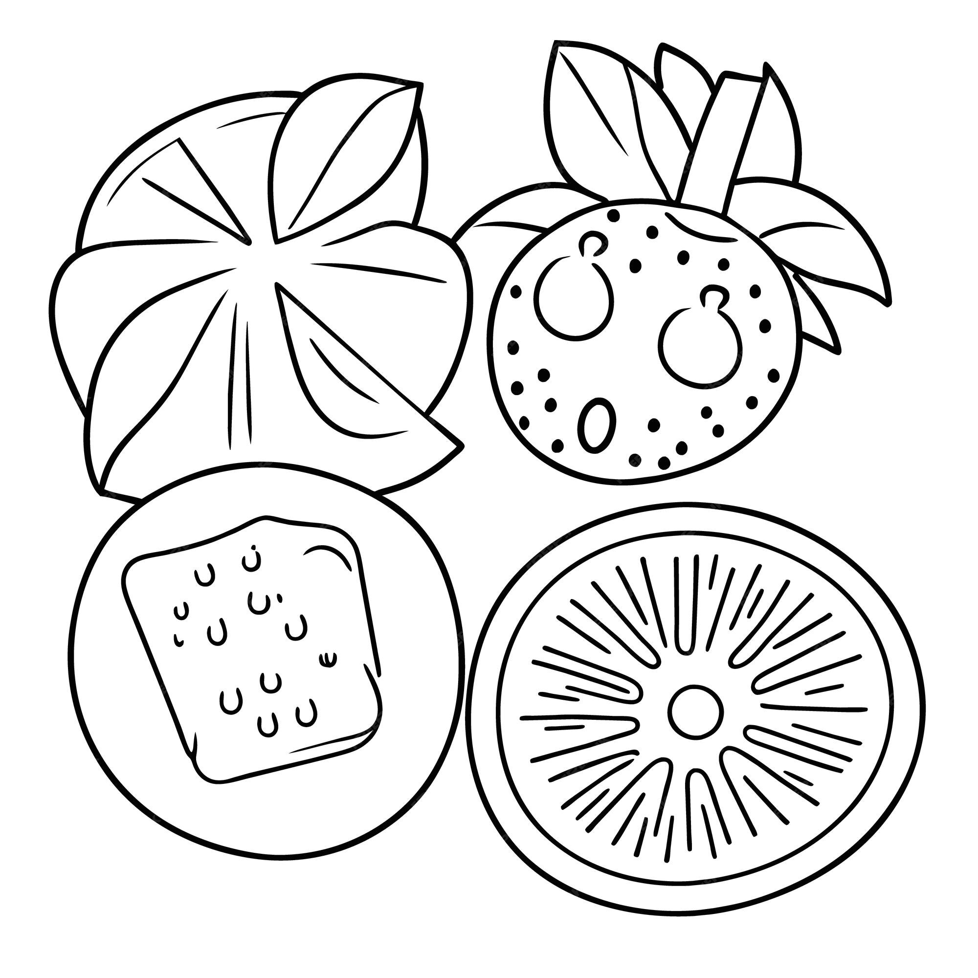 Premium vector various fruits collection for summer and coloring book page for kdp