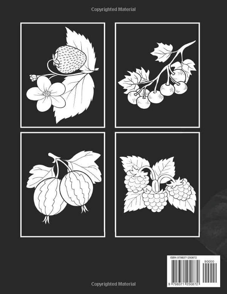 Midnight summer fruit coloring book an adult summer vibe coloring pages such as apple organe grape and black background best way to relax and entertaining joy rainbow books