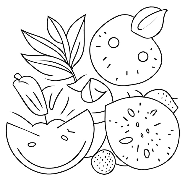 Premium vector various fruits collection for summer and coloring book page for kdp