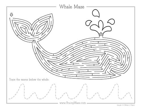 Summer mazes worksheets