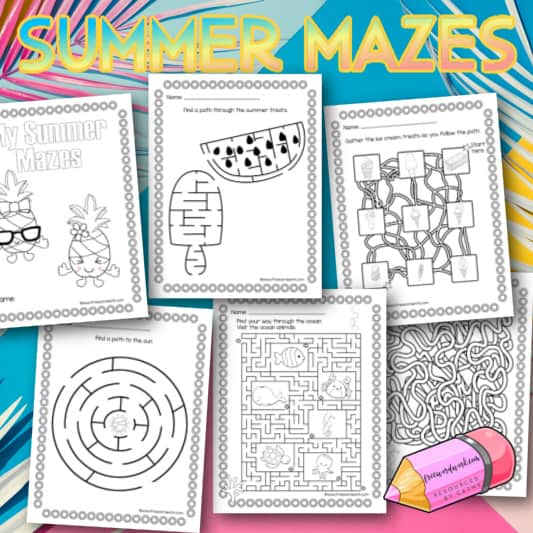 Summer maze book