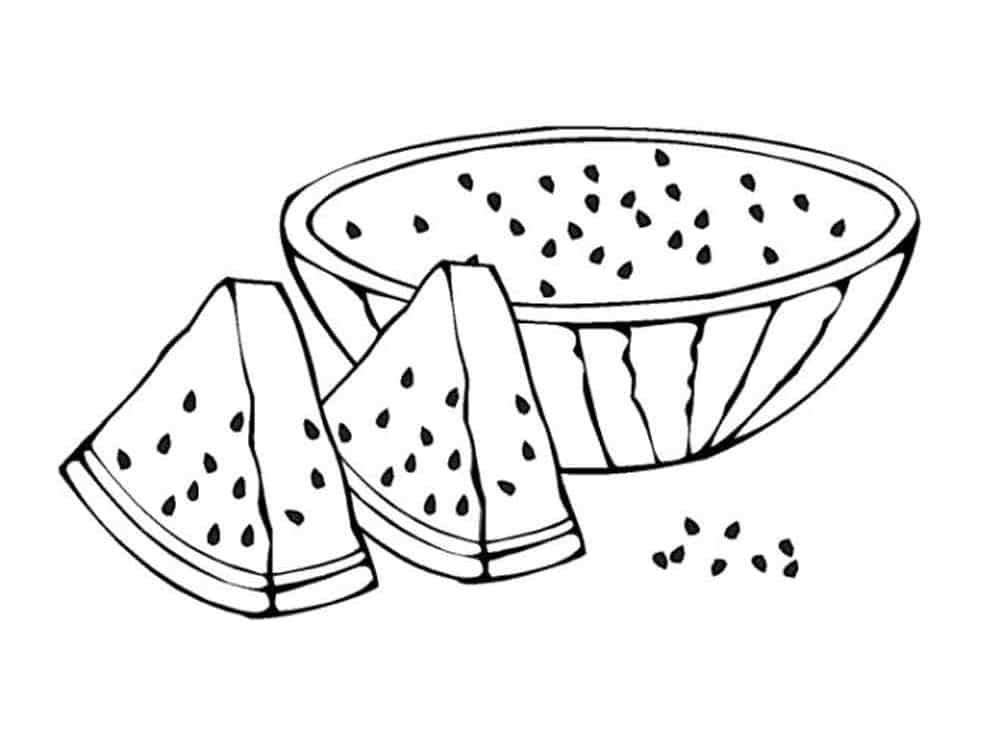 Drawing of half of a watermelon and slices coloring page