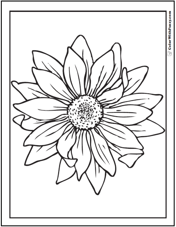 Sunflower coloring page pdf printables