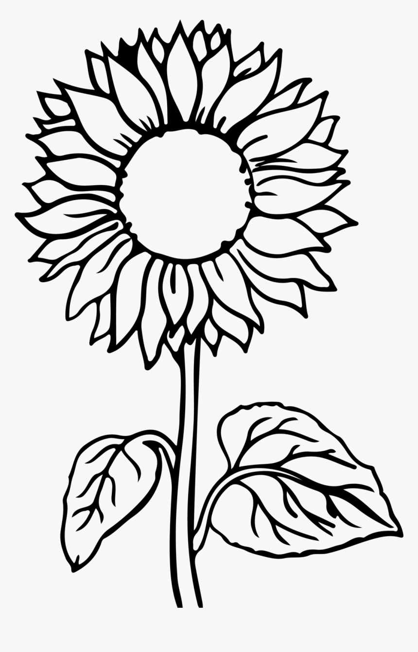 Coloring pages free sunflower coloring pages for kids