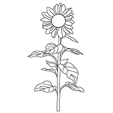 Beautiful sunflower coloring pages for your little girl