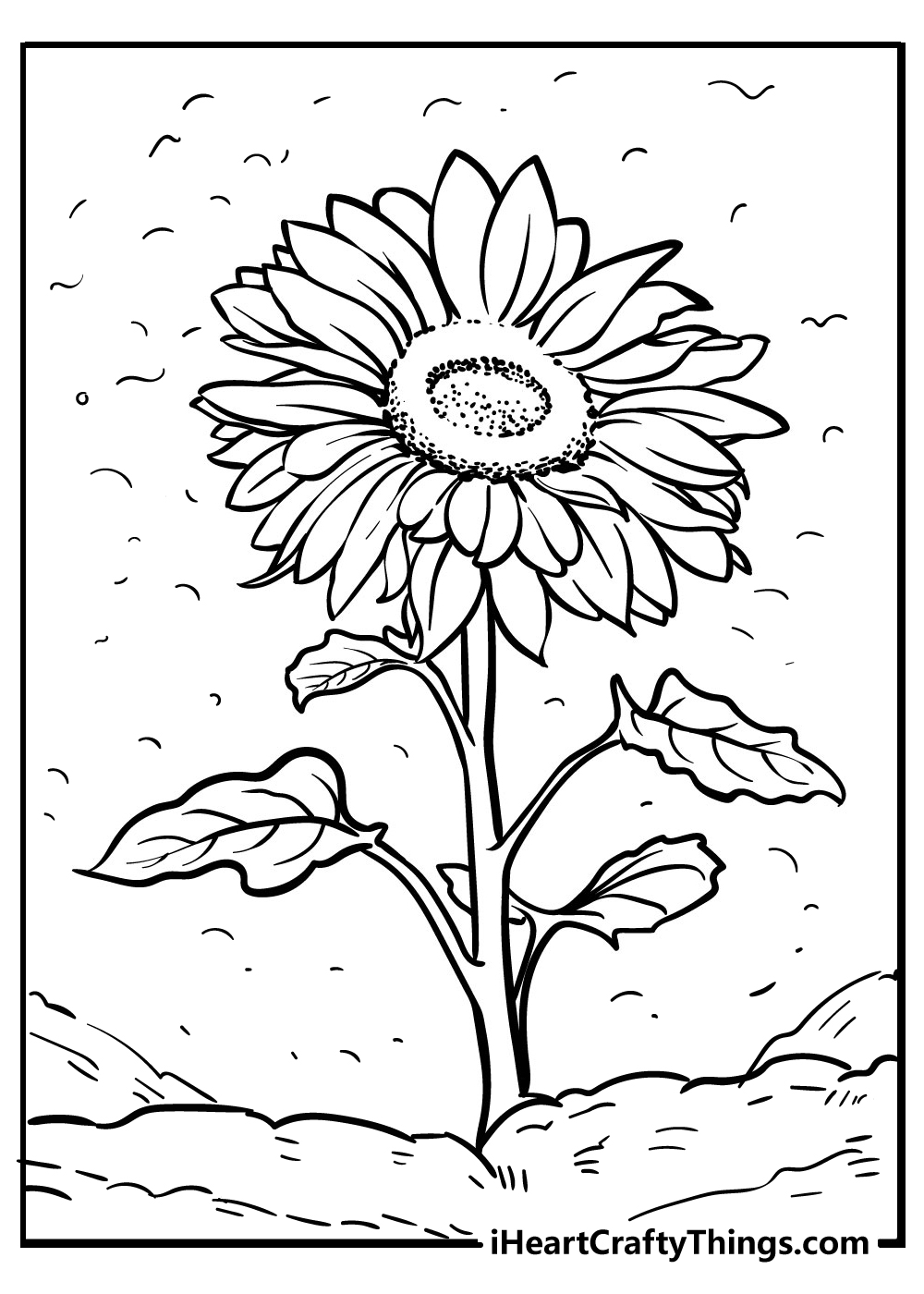 Sunflower coloring pages free printables