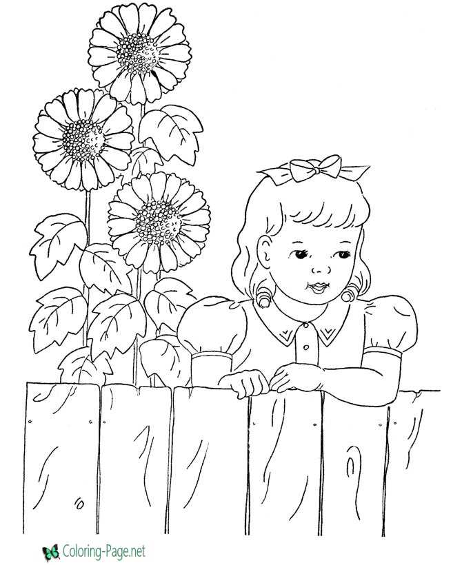 Flower coloring pages sun flowers