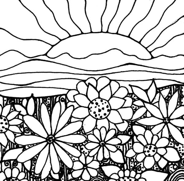 Printable sunset coloring pages flower coloring pages garden coloring pages coloring pages