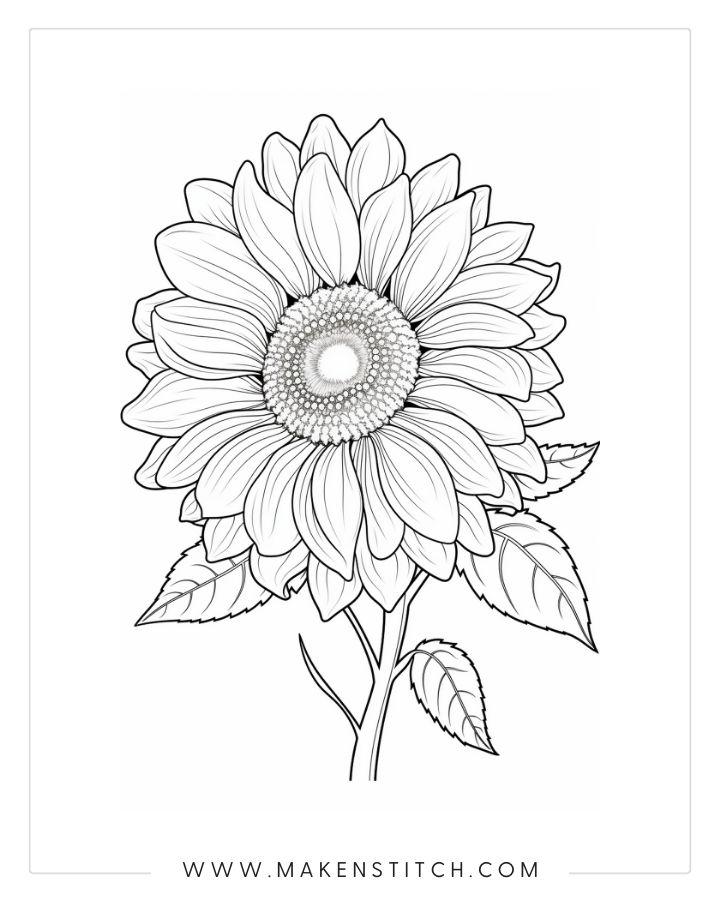 Flower coloring pages for kids and adults free printables