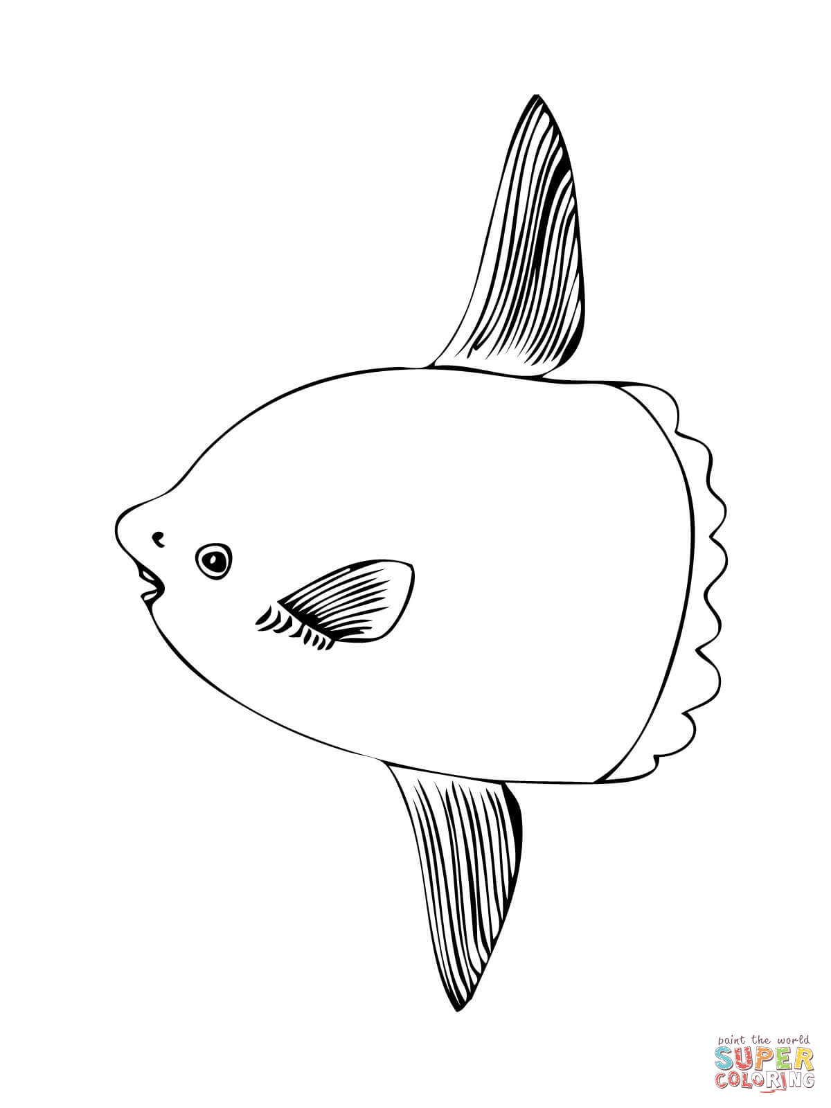 Sunfish coloring page free printable coloring pages