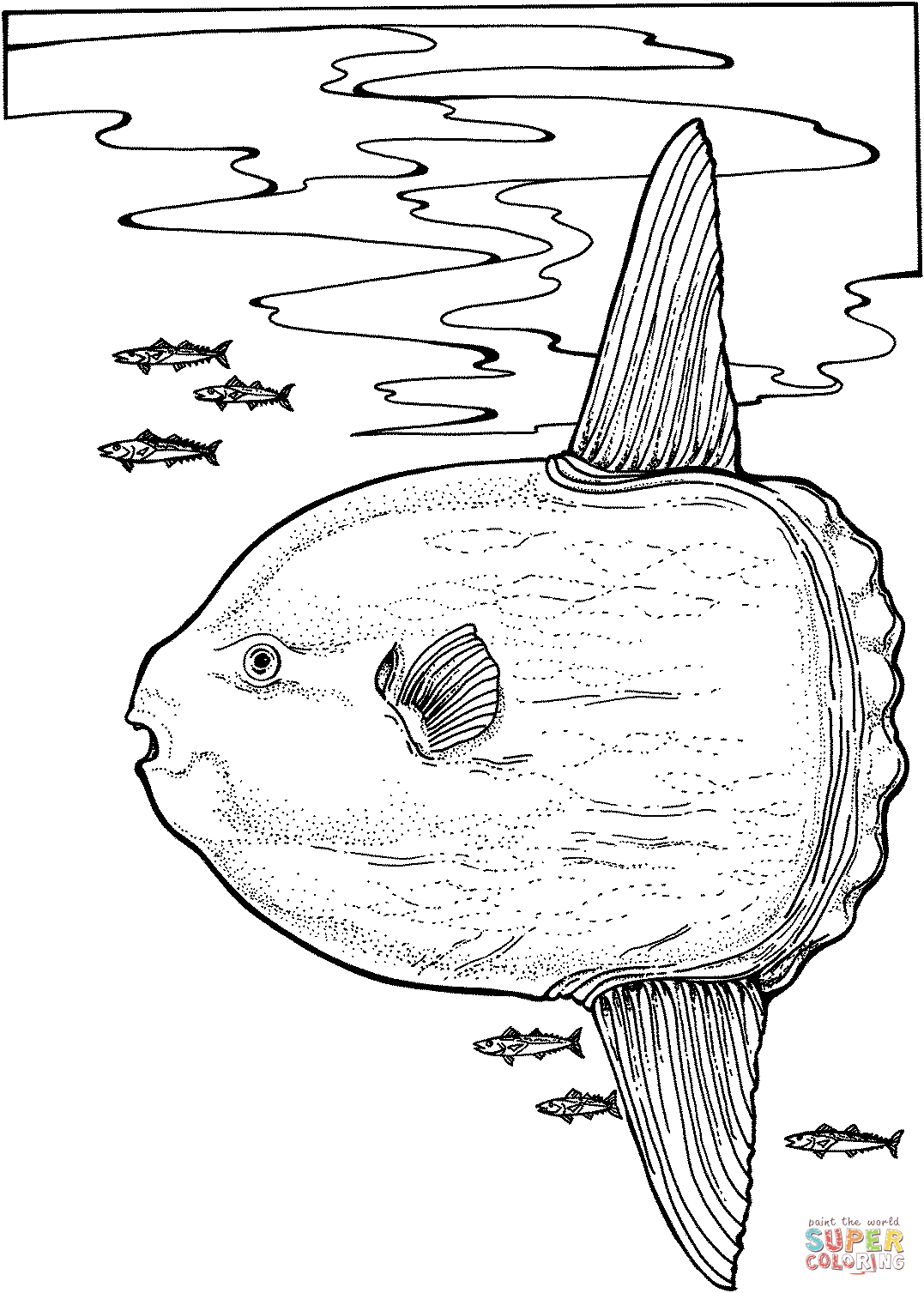 Ocean sunfish coloring page free printable coloring pages