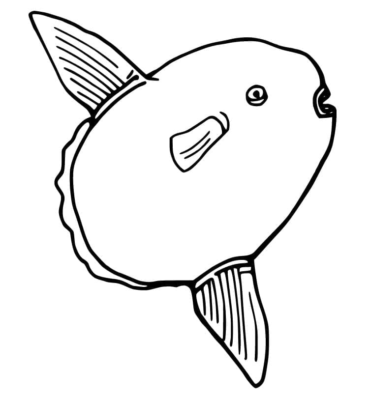 A swimming sunfish coloring page