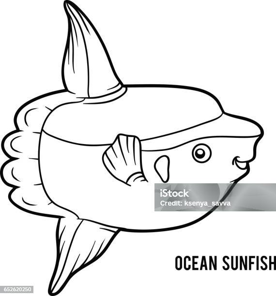 Coloring book ocean sunfish stock illustration