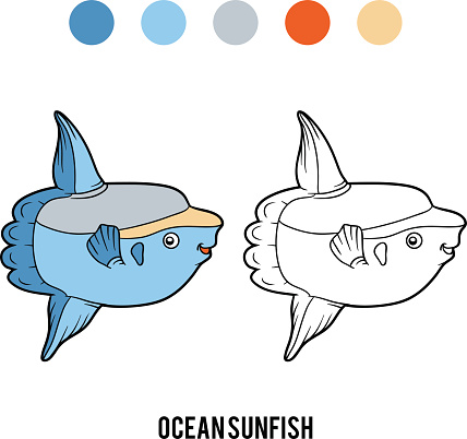 Coloring book ocean sunfish stock illustration