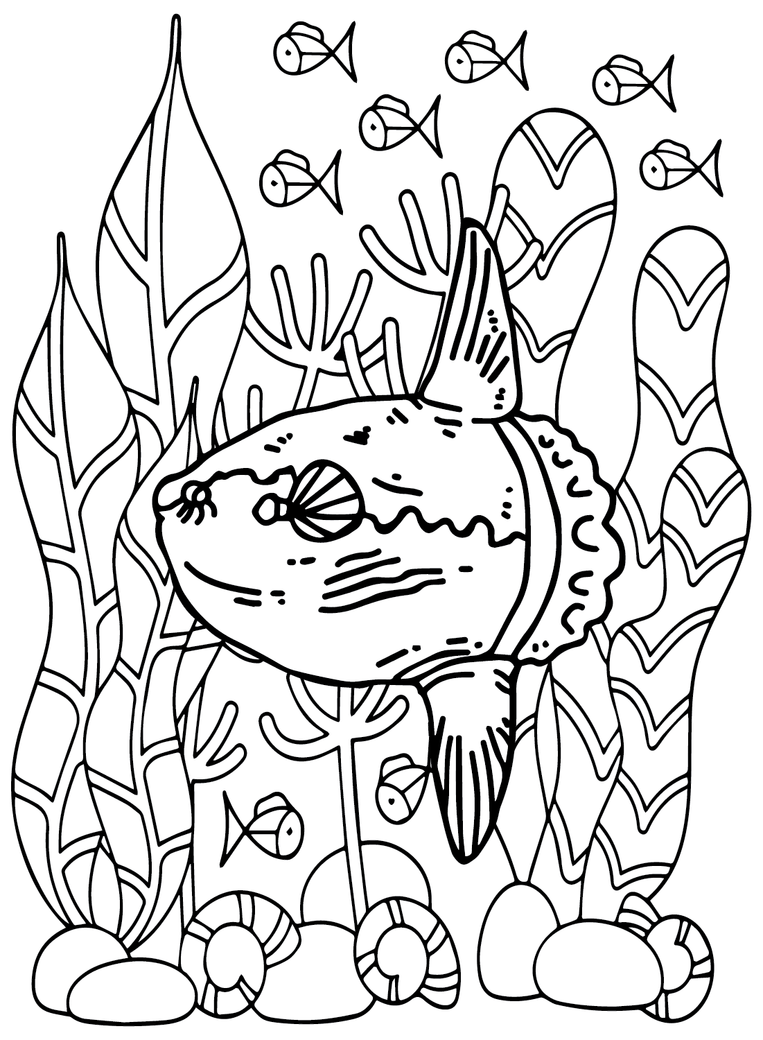 Ocean sunfish coloring pages