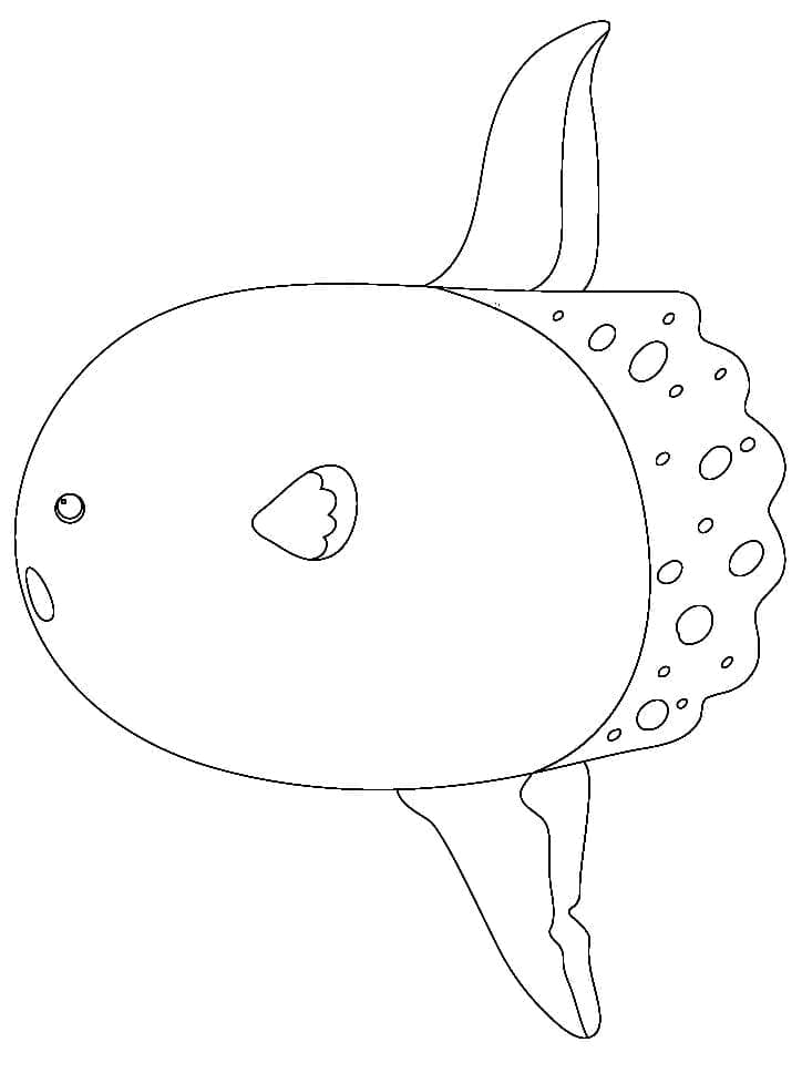 Simple sunfish coloring page