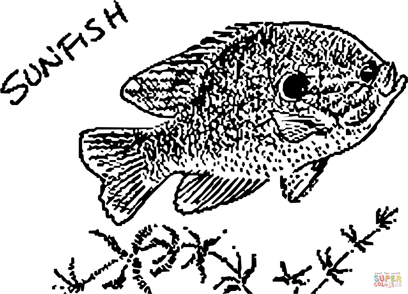 Vintage sunfish coloring page free printable coloring pages